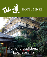 Hotel SENKEI